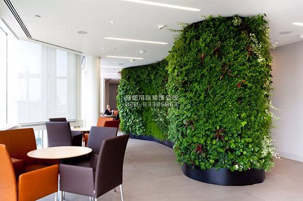 辦公室裝修完以后擺放什么綠植好？